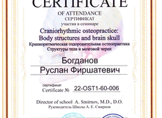 Сертификат Богданов Руслан Фиршатевич