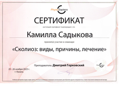 Сертификат Садыкова Камила Рафаэльевна